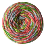 DK weight Acrylics - Tutti Fruiti