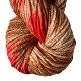 Worsted Weight Multi - Fly Catcher