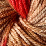 Worsted Weight Multi - Fly Catcher