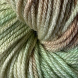 Worsted Weight Multi - Disney