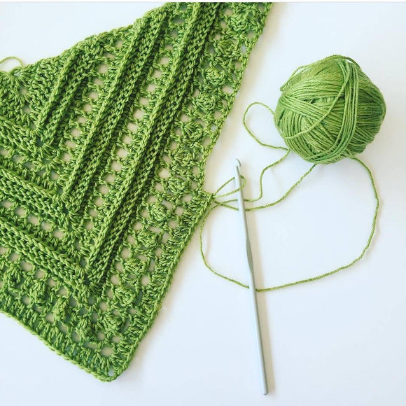 Beginner's Crochet Kit