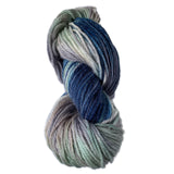 Worsted Weight Multi - Ombre Blue